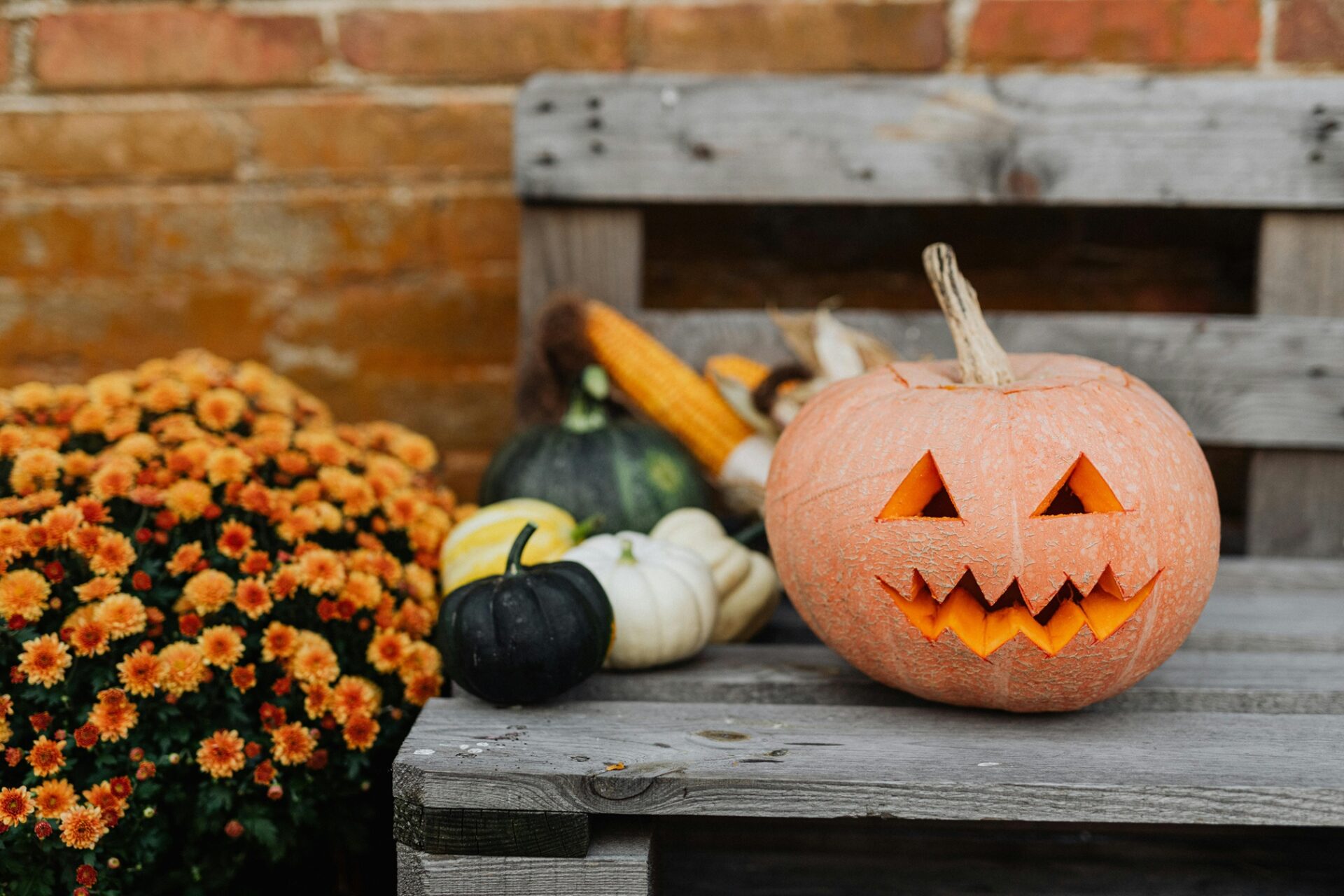 Carved jack-o’-lantern on a wooden bench in a fall harvest setting