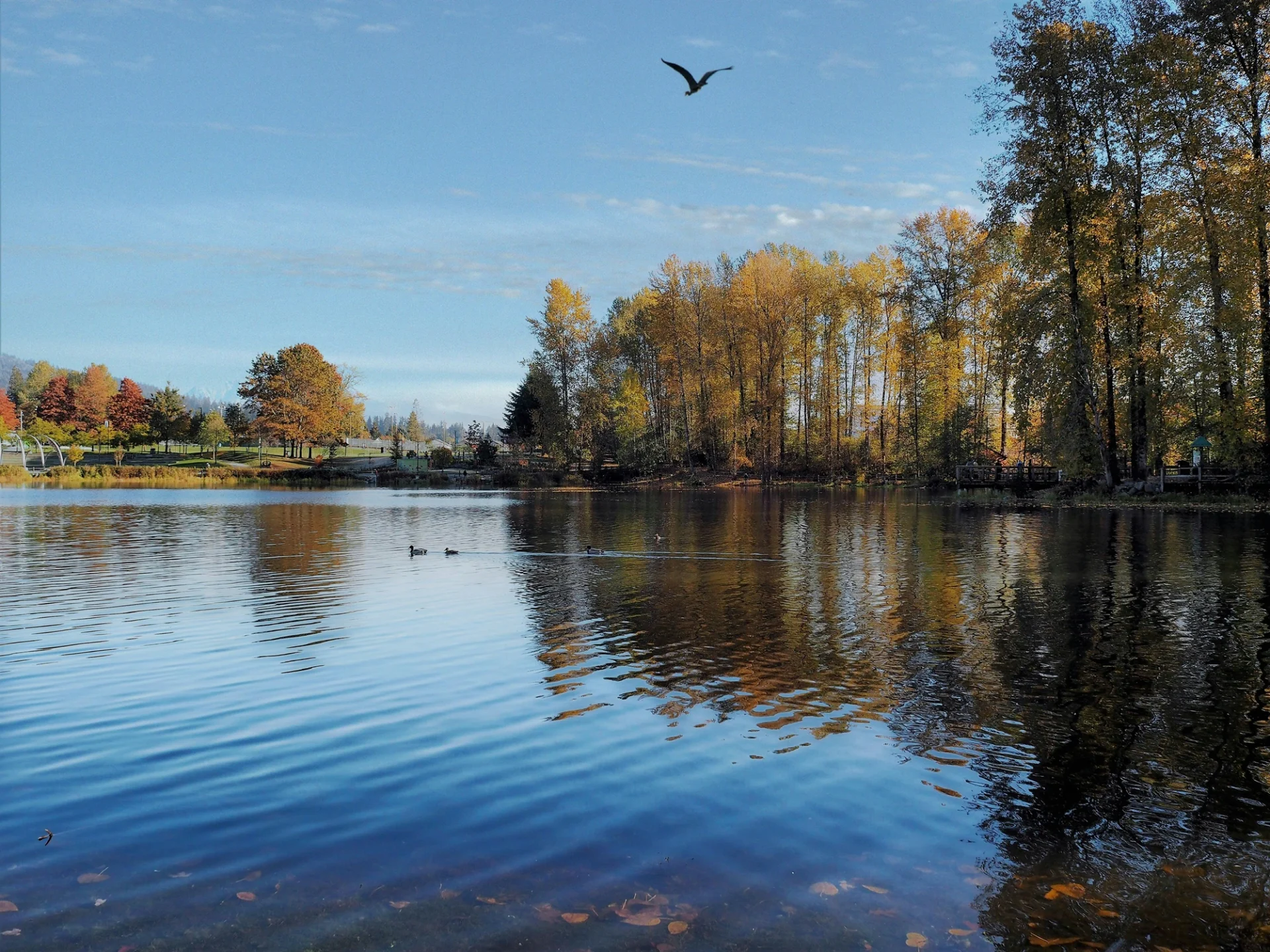 Outdoor spaces like this are part of daily life in Port Coquitlam