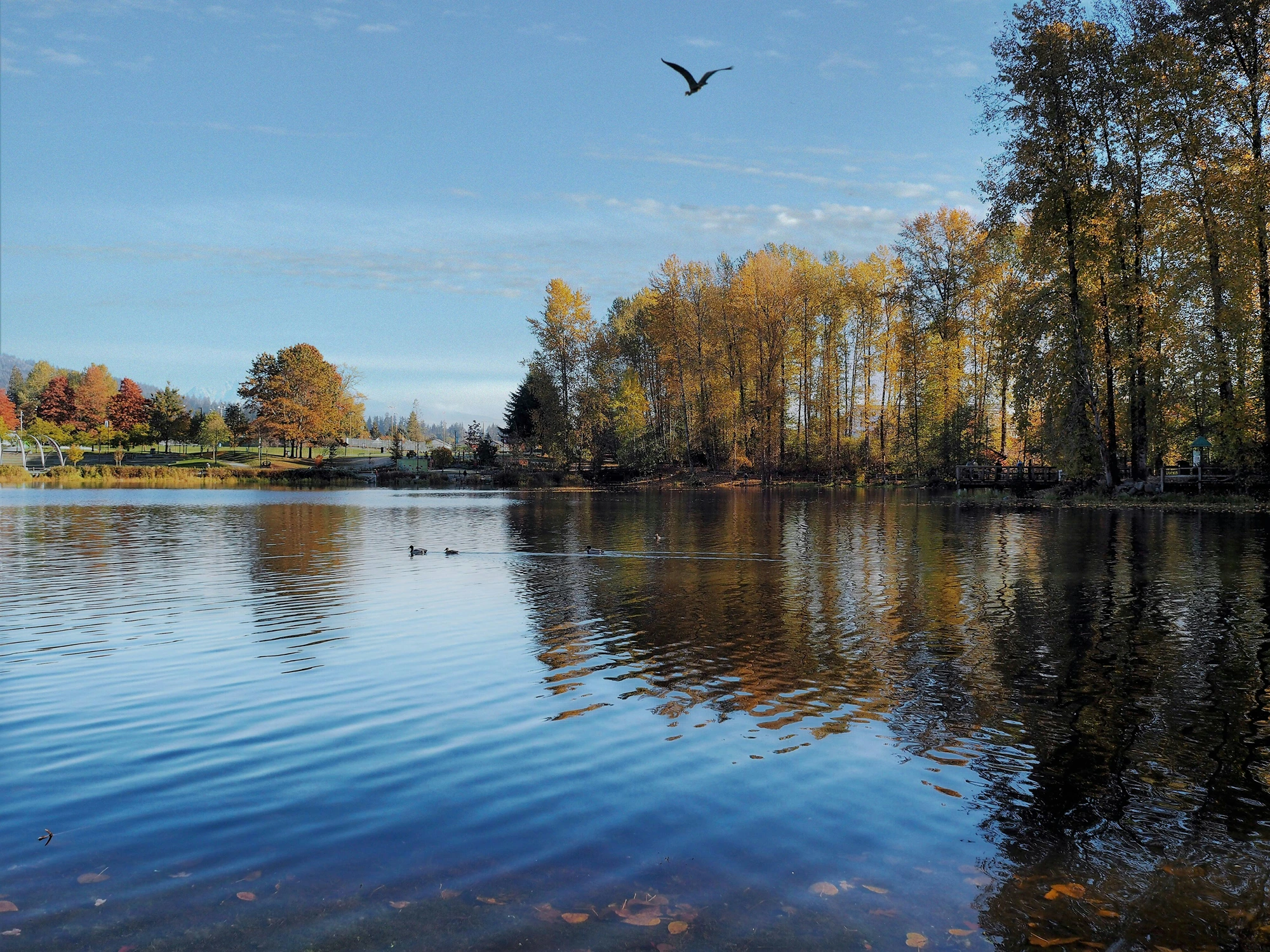 Outdoor spaces like this are part of daily life in Port Coquitlam