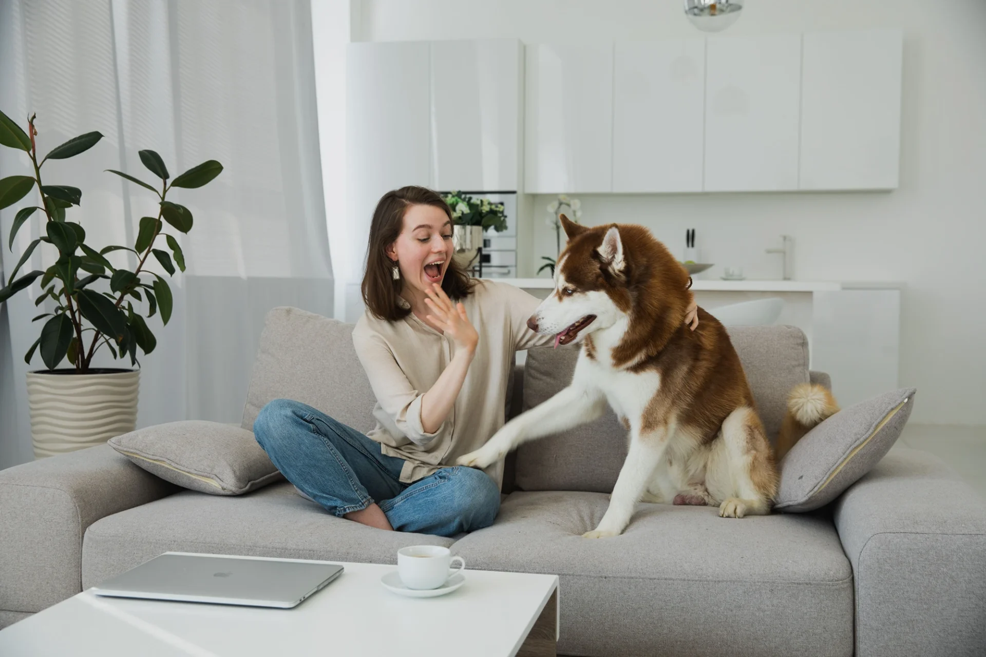 Pet friendly furnished rentals in Vancouver